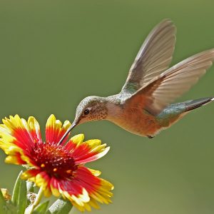 Loving Relationships