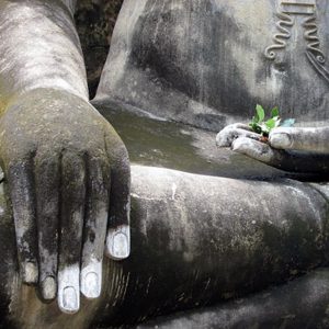 The Flowering of Your Soul