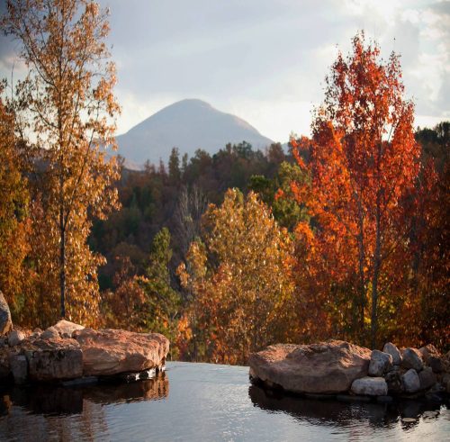 elohee-autumn2023-cropped